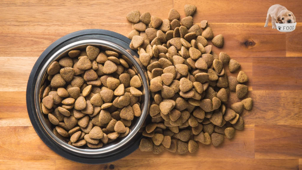 Soft Dry Dog Food: Unveiling the Canine Culinary Experience