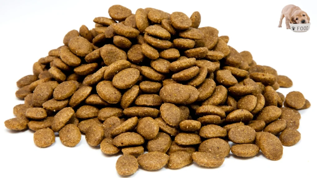 Common Misconceptions About Soft Dry Dog Food