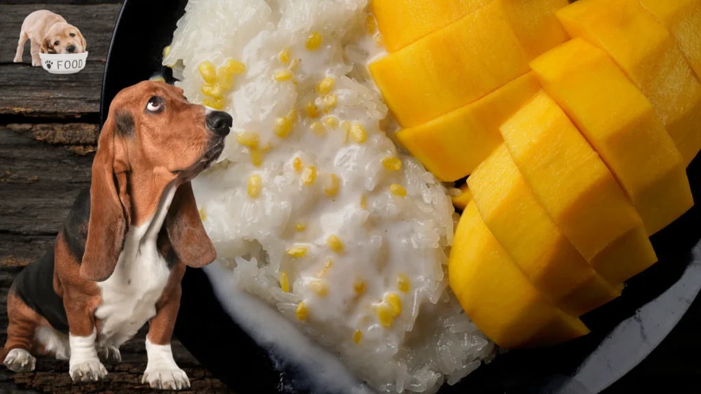 Can Mango Be Bad for Dogs?