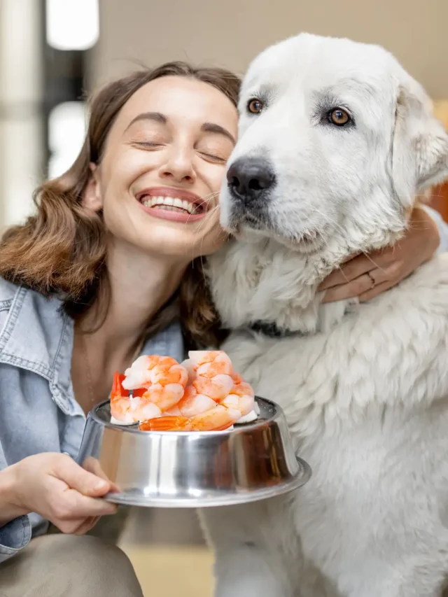 Can Dogs Eat Shrimp? Unveiling the Seafood Mystery