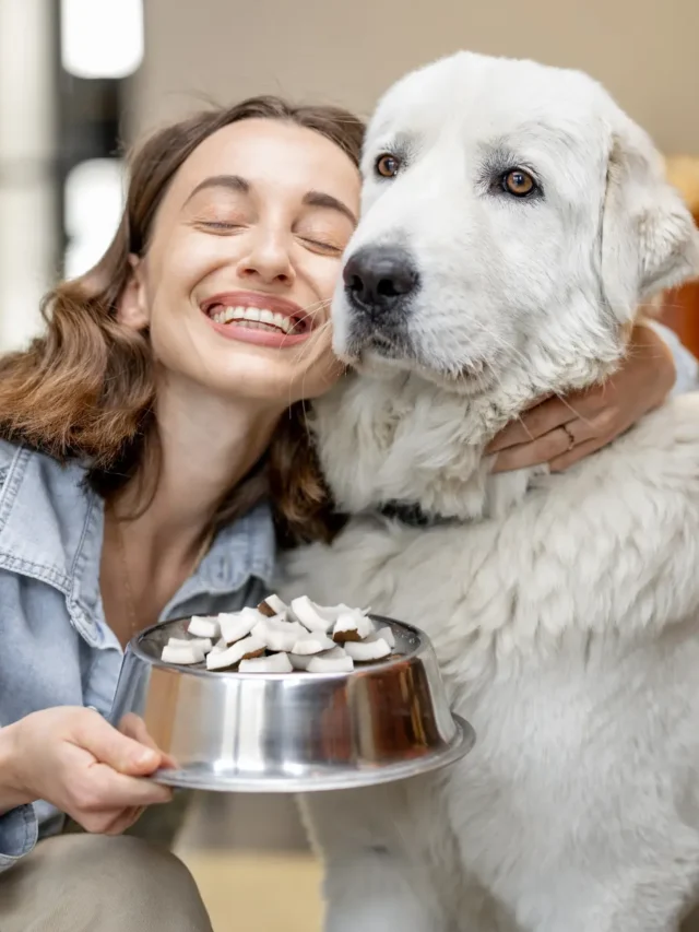 Can Dogs Eat Coconut? Unveiling the Nutritional Benefits and Risks