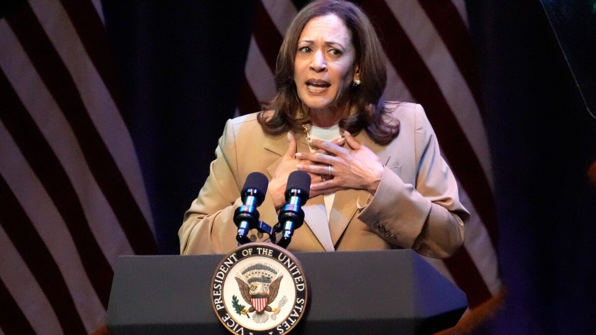 Why Kamala Harris is attacked as DEI hire, and what does it mean