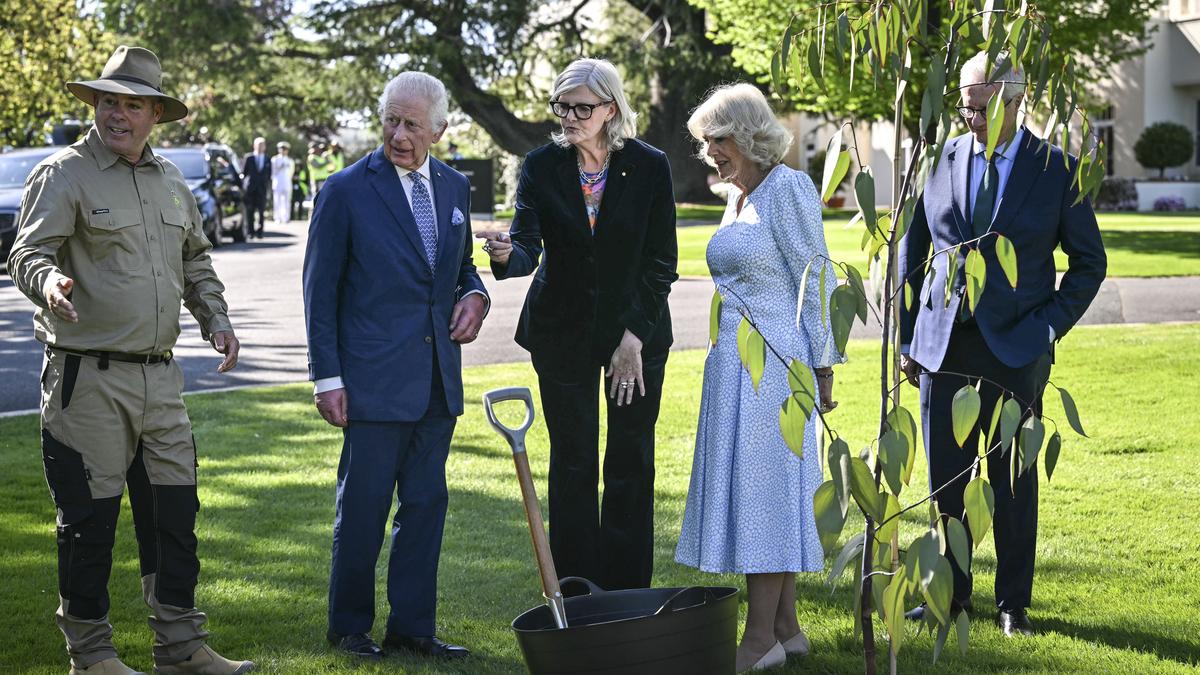 'Give us what you stole from us,' Australian senator yells at King Charles during royal visit