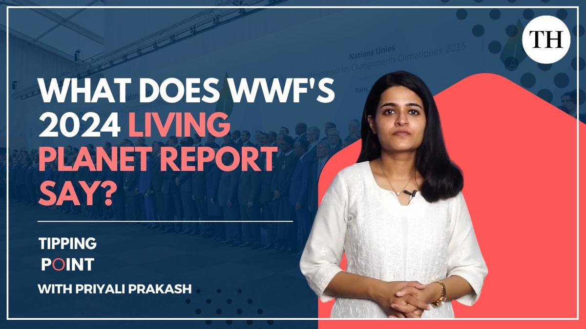 Watch: What does WWF’s 2024 Living Planet Report say?