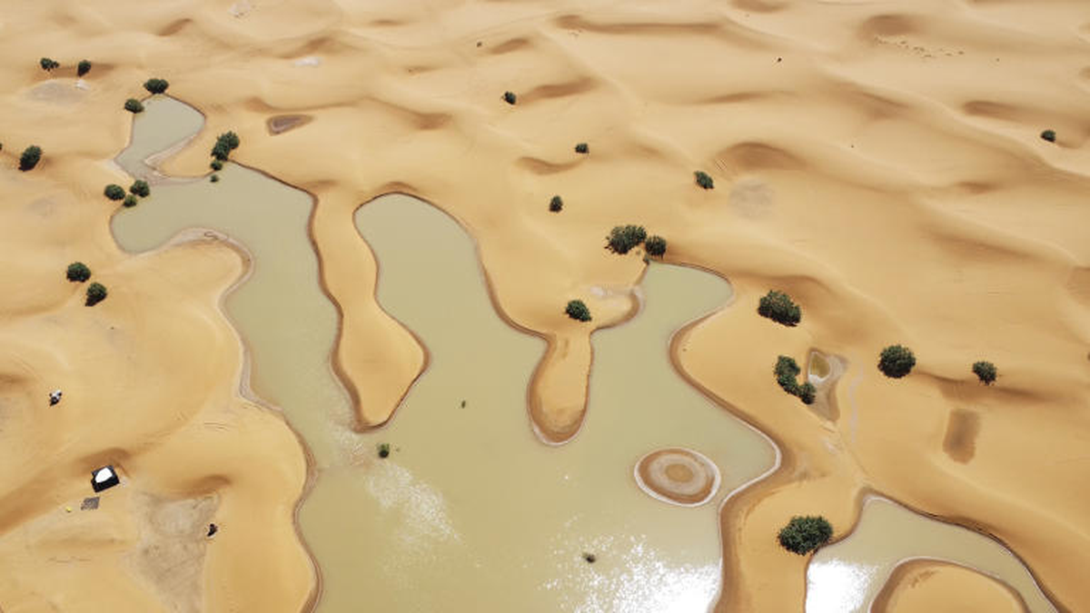 Sahara desert witnesses first floods in 50 years